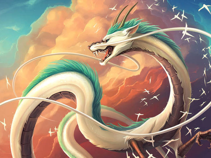 Haku